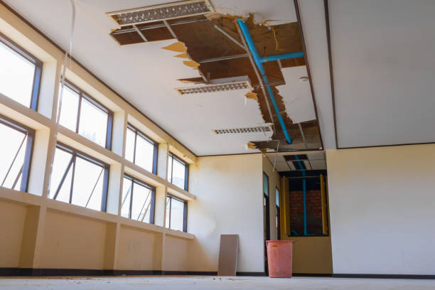 Best Flooded house restoration  in East Rutherford, NJ