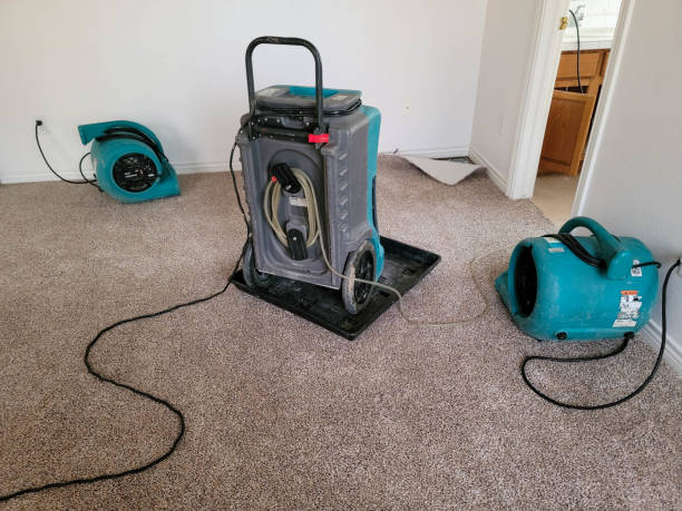 Best Water damage contractors near me  in East Rutherford, NJ