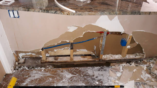 Best Local water damage restoration  in East Rutherford, NJ