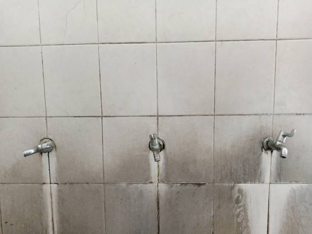 Best 24/7 water damage repair  in East Rutherford, NJ