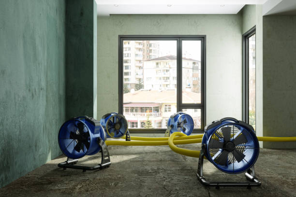 Best 24-hour water damage restoration  in East Rutherford, NJ